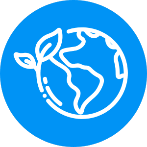 Eco-Friendly Practices